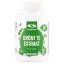 Healthwell Grönt Te Extrakt