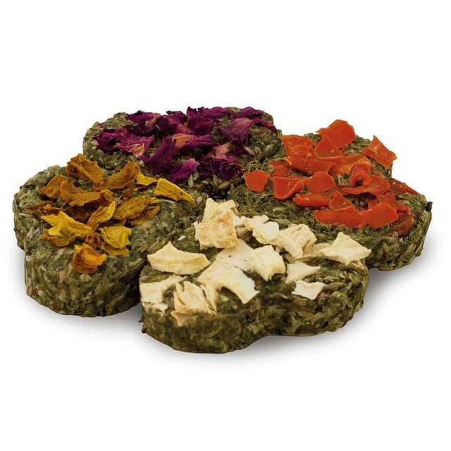 Jr Farm Gnagargodis Fyrklover 60 G – Rimlig investering – hamstergodis bäst i test 2026