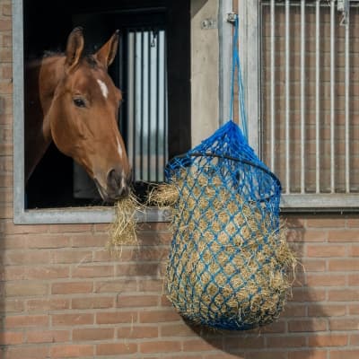 Hönät Easy Fill - Svart – Smidigast påfyllning – hönät bäst i test 2026