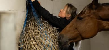 Shires Slowfeeding Hönät 6,5 kg