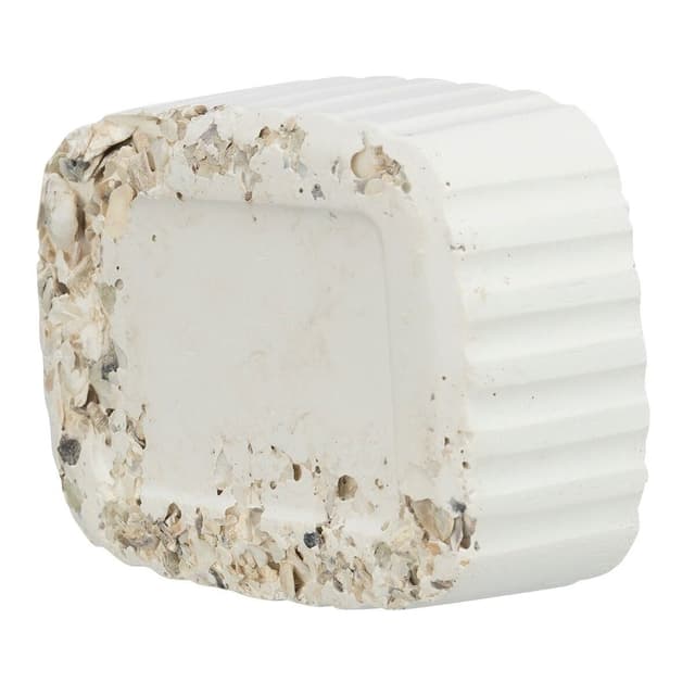 Trixie Picksten Med Snackor – Prisvärd budget – hönsmat bäst i test 2026