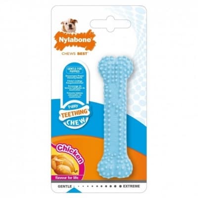 Nylabone Puppy Teething Dental Chew Blå – Topp för valp – hundben för valp bäst i test 2026