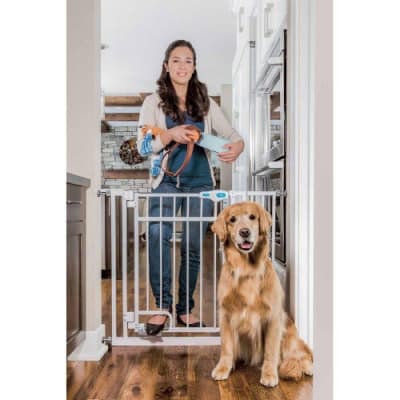 Grind Handsfree Walk-thru – Smidigast öppning – hundgrind inomhus bäst i test 2026