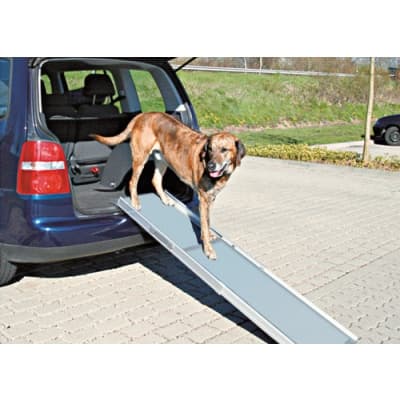 Teleskopisk Ramp För Hund – Toppklassval – hundramp bäst i test 2026
