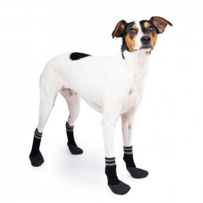Basic Paws Hundstrumpor Svart 4-pack – Enklast att rengöra – hundskor vinter bäst i test 2026
