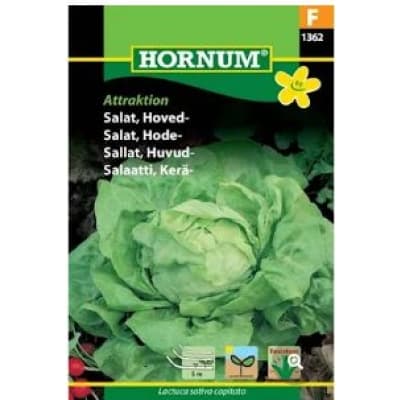 Huvudsallat 'attraktion' - Såband – Toppsåband – huvudsallad bäst i test 2026