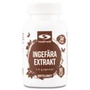 Healthwell Ingefära Extrakt