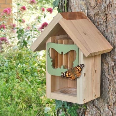 Fjärilsbo Butterfly