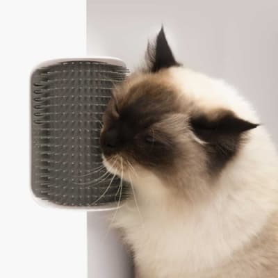 Senses 2.0 Self Groomer – Bäst i test – interaktiv kattleksak bäst i test 2026