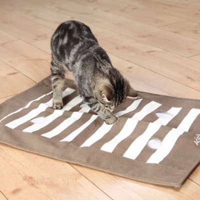 Trixie Katt Aktivitetsmatta – Toppval aktivitetsmatta – interaktiv kattleksak bäst i test 2026
