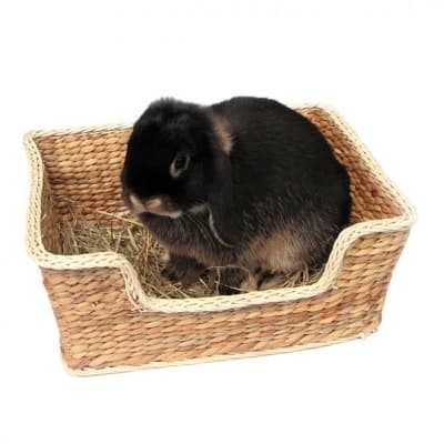 Rosewood Chill'n'snooze Bädd Stor – Naturvänligt val – kaninsäng bäst i test 2026