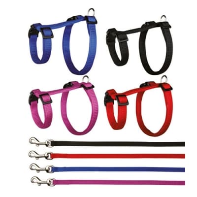 Sele Och Koppel För Kanin – Mest slitstark – kaninsele bäst i test 2026