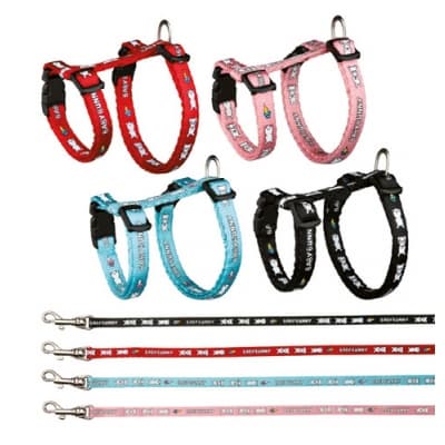 Trixie Sele Och Koppel För Kanin Med Motiv – Bäst storleksutbud – kaninsele bäst i test 2026