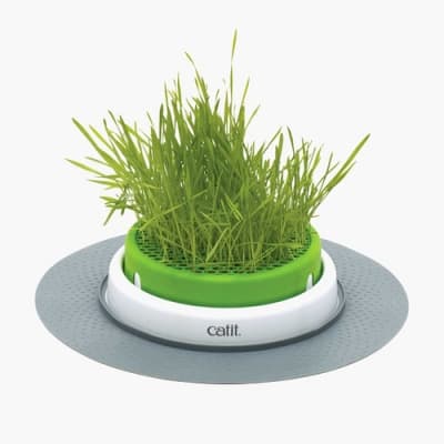 Senses 2.0 Grass Planter – Bäst i test – kattgräs bäst i test 2026
