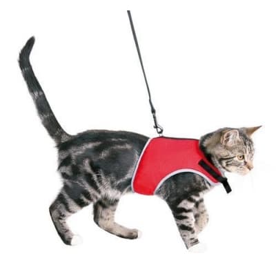 Trixie Kattsele Med Koppel Small – Mest flexibelt – kattsele rymningssäker bäst i test 2026