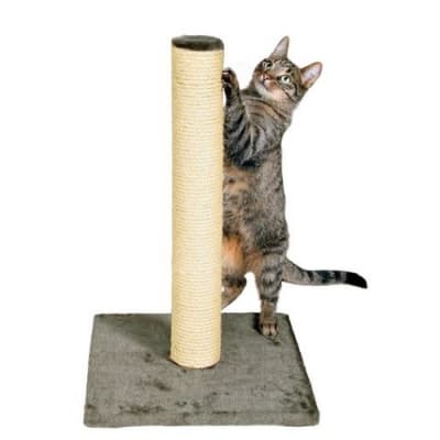 Trixie Klösmöbel Parla – Budgetfavorit – klösmöbler bäst i test 2026