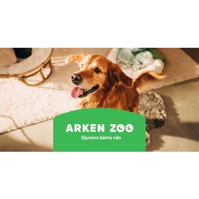 Little&bigger Klösträd Decem – Mest prisvärd – klösträd för katt bäst i test 2026