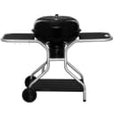 Mustang Austin Kolgrill