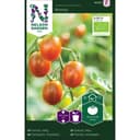 Tomat Hög Bronzy Organic