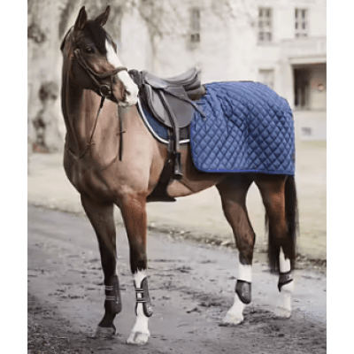 Lippo - Quarter Rug Ländtäcke - Marin – Varmast val – ländtäcke bäst i test 2026