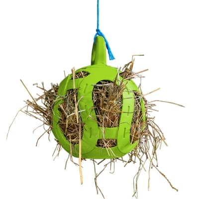 Jolly Hay Ball - Höboll – Lyxigaste alternativet – lekboll häst bäst i test 2026