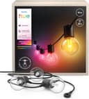 Philips Hue Festavia Globe