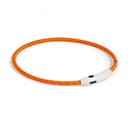 Basic Nylon Led-halsband