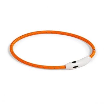Basic Nylon Led-halsband – Bästa synlighet – lysande hundhalsband bäst i test 2026