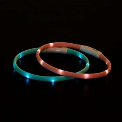 Little&bigger Attention! Led-halsband – Budgetfavorit – lysande hundhalsband bäst i test 2026