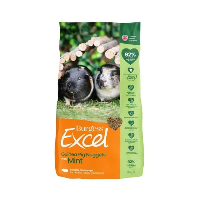 Burgess Excel Guinea Pig Adult With Mint – Bäst i test – marsvinsmat bäst i test 2026