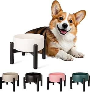 Upphöjd keramisk hundskål – förhöjd mat vattenskål med rostfritt stålstativ – för små till medelstora hundar – 15 cm – 2 koppar (30 fl oz) – vit – Bäst i test – matbar hund bäst i test 2026