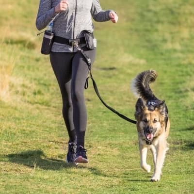Trixie Löparbälte Med Expanderlina – Prisvänligaste valet – midjebälte hund bäst i test 2026