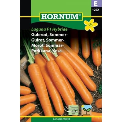 Morot Laguna Såband – Snabbast skörd – morotsfrö såband bäst i test 2026