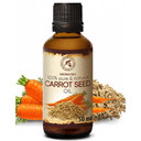 Carrot Oil 50ml