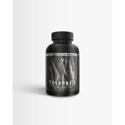 Viking Power Yggdrasil – Starkast för träning – multivitamin man bäst i test 2026