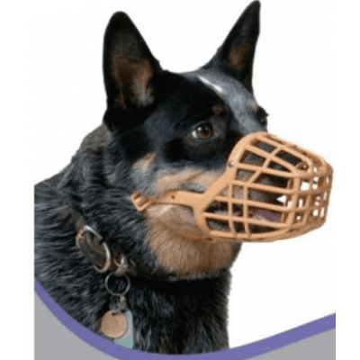 Pro Dog Munkorg – Toppklassval – munkorg hund bäst i test 2026