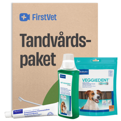 Firstvet Tandvårdspaket – Helhetslösning – tandvårdskit för hund bäst i test 2026