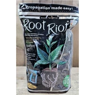 Root Riot, 100-pack – Toppklassval – odlingsbriketter bäst i test 2026