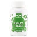 Healthwell Olivbladsextrakt