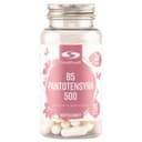 Healthwell B5 Pantotensyra 500