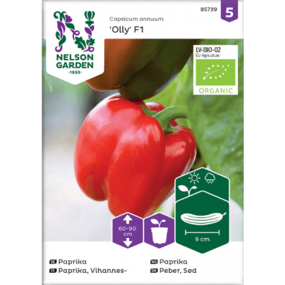 Paprika 'olly F1', Ekologisk – Toppklassval – paprikafrö bäst i test 2026