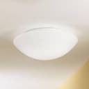 Plafond- Och Vägglampa Pandora 20 Cm