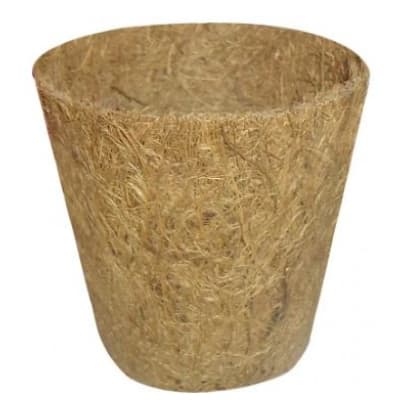 Kokoskruka 6cm 6-pack – Prispressad favorit – planteringskruka bäst i test 2026