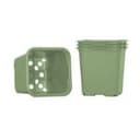 Planteringskruka 8cm, Grön 20st