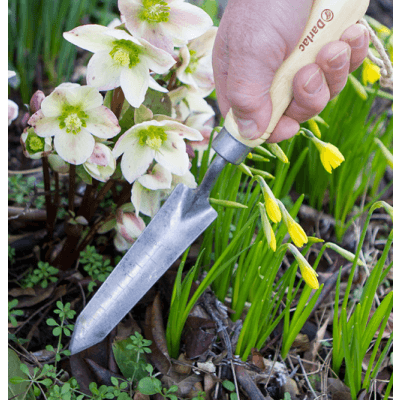 Smal Planteringsspade, Bambu – Lyxigaste valet – planterspade bäst i test 2026