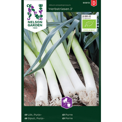 Purjolök 'herbstriesen 2', Ekologisk – Bäst i test – purjolök bäst i test 2026