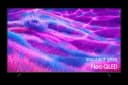 Samsung QN80F Neo QLED 100 tum