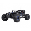 Reely Raptor 6s