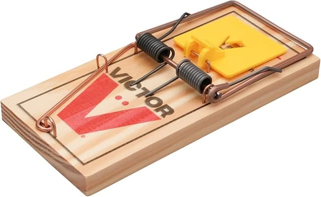 Protect HOME Råttfälla Classic, klassisk träfälla för effektiv och giftfri råttbekämpning, 1 styck – Bäst i test – råttfälla bäst i test 2026