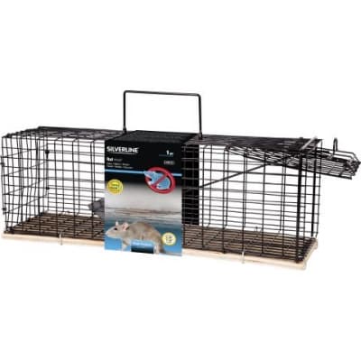 Råttfälla Silverline Lion – Topprankad fällning – råttfälla bäst i test 2026